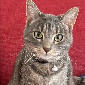 Meet your Posher, Susanna